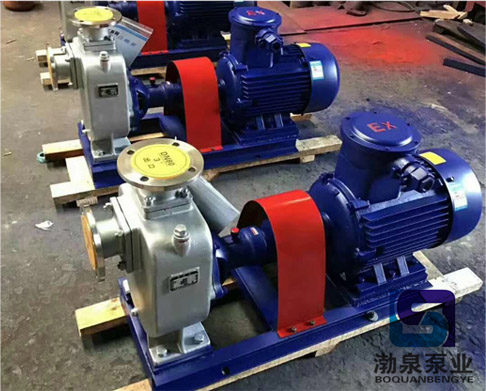 32ZX5-40_臥式化工自吸泵